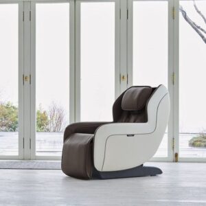 Circ+ (gray) – Zero Gravity Sl Track Heated Massage Chair 10 pcs
