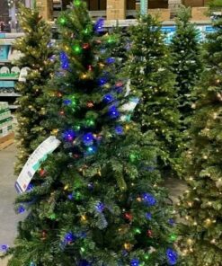 Christmas Tree Pallets Available