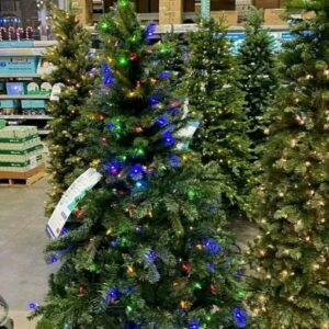 Christmas Tree Pallets Available